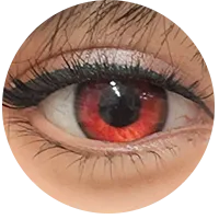 32.webp